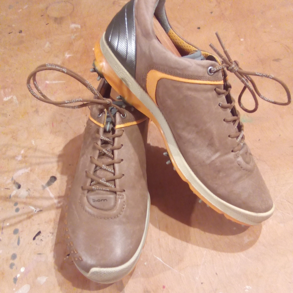 Light Brown ⛳ 👟 with Silver and Gold Accents
